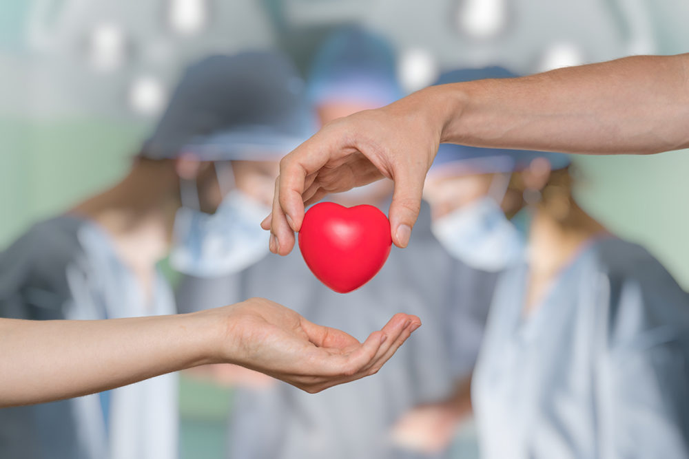 Heart transplant and organ donation concept. Hand is giving red